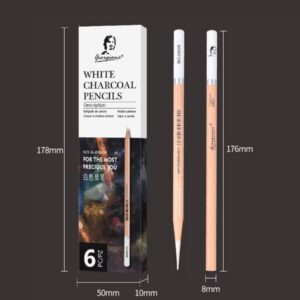 Giorgione White Charcoal Pencils Set - 6pcs