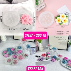 Silicon Mold – SM57