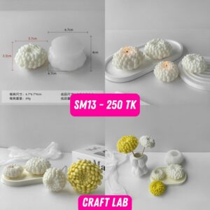 Silicon Mold - SM13
