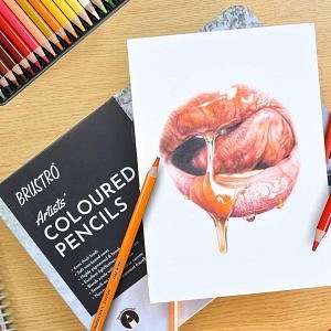 BRUSTRO Artists Colour Pencil | Set of 24 (in an Elegant tin Box) - image 4