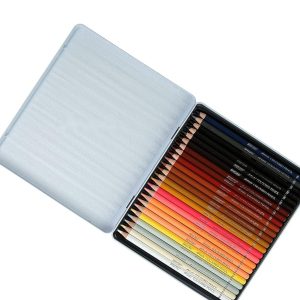 BRUSTRO Artist’s Colour Pencil Skin Tone| Set of 24 (in an Elegant tin Box)